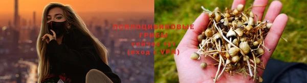 шишки Абдулино