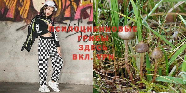 кокс Абинск