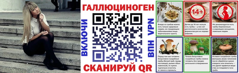 Галлюциногенные грибы прущие грибы  MEGA ССЫЛКА  Элиста 
